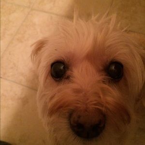 Meet your Posher, Madeline